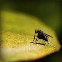 /album/tasmeresou/photolia-a07-jpg/